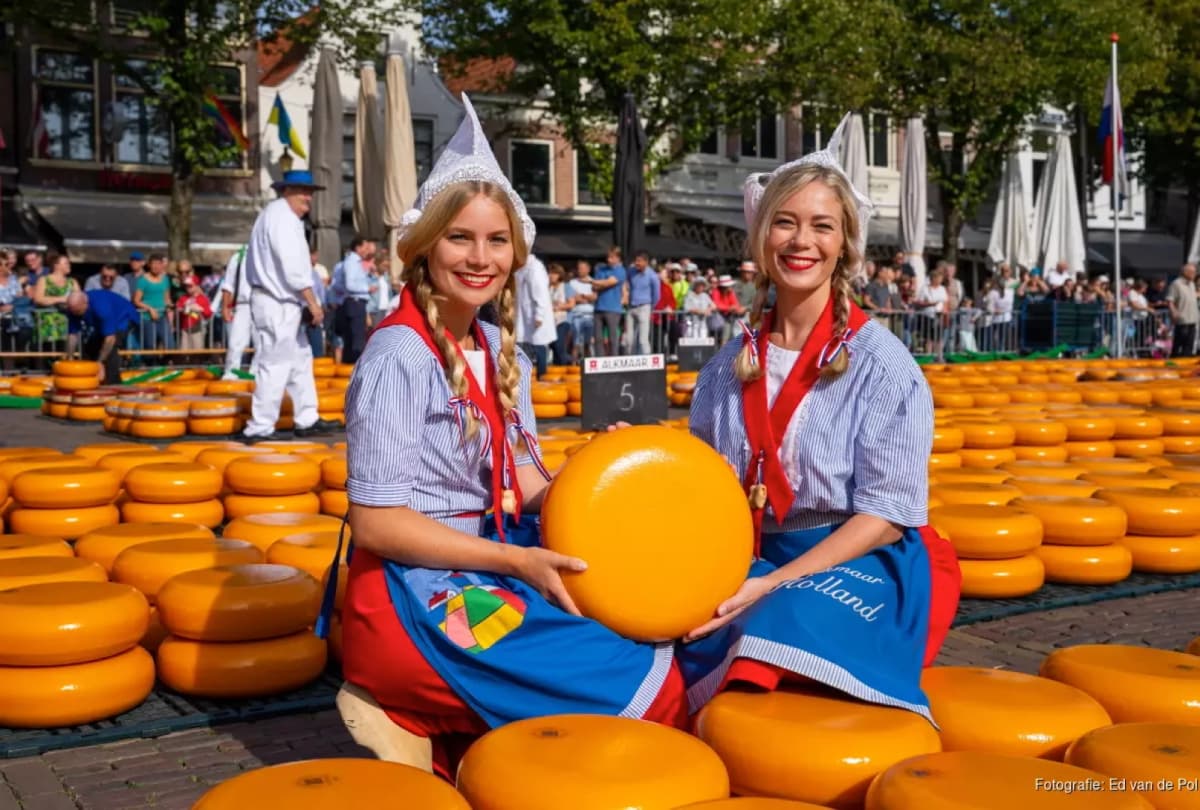 girls holding a dutch cheese at the alkmaar cheese market