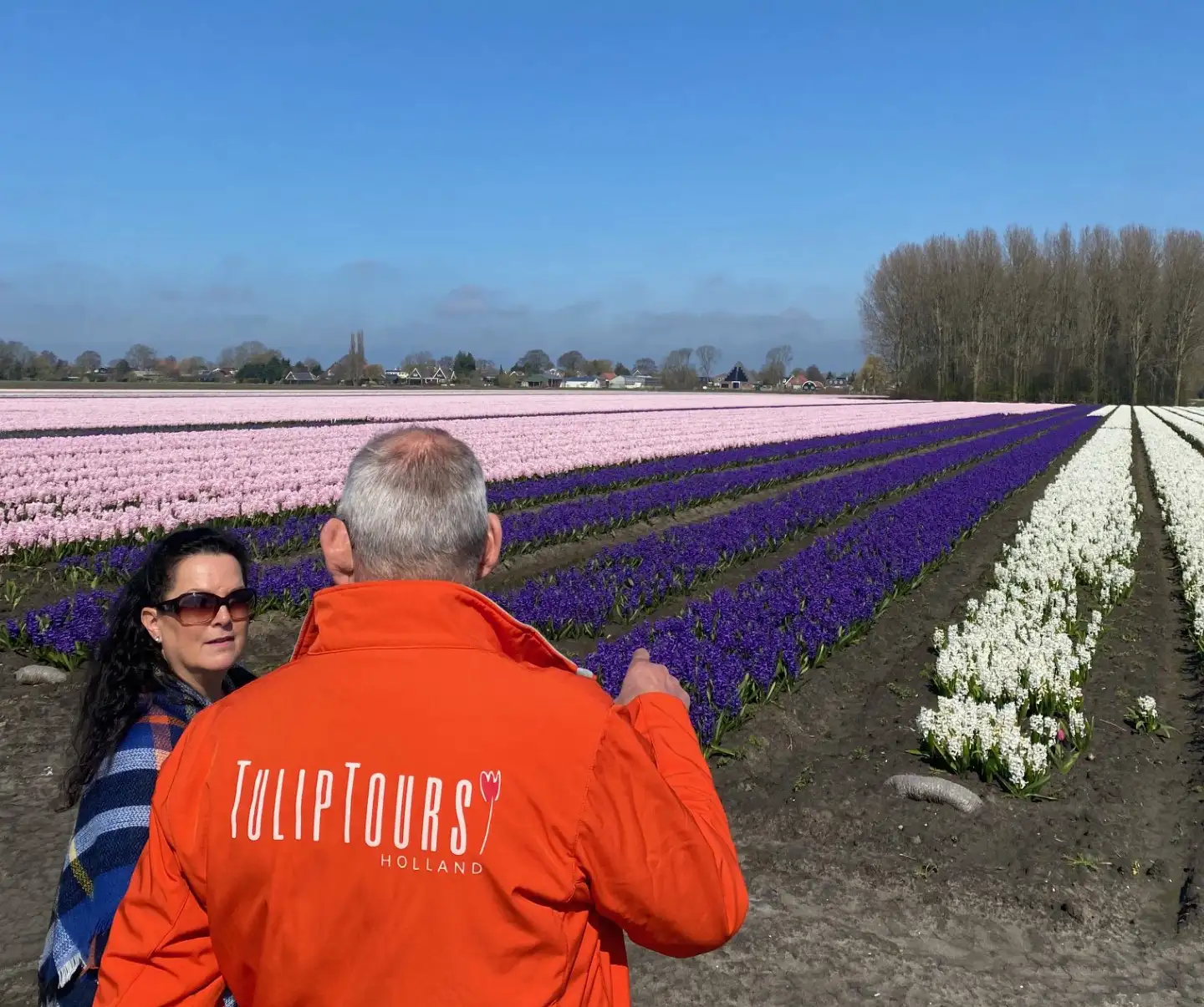 Hyacinths and narcissen blooming in early spring