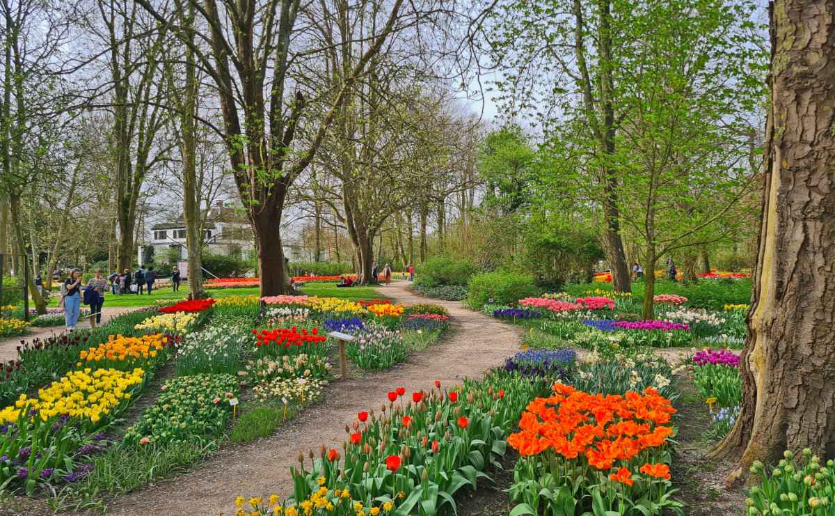 The Poldertuin in Anna Paulowna — a free and peaceful spring oasis in the North Holland polder