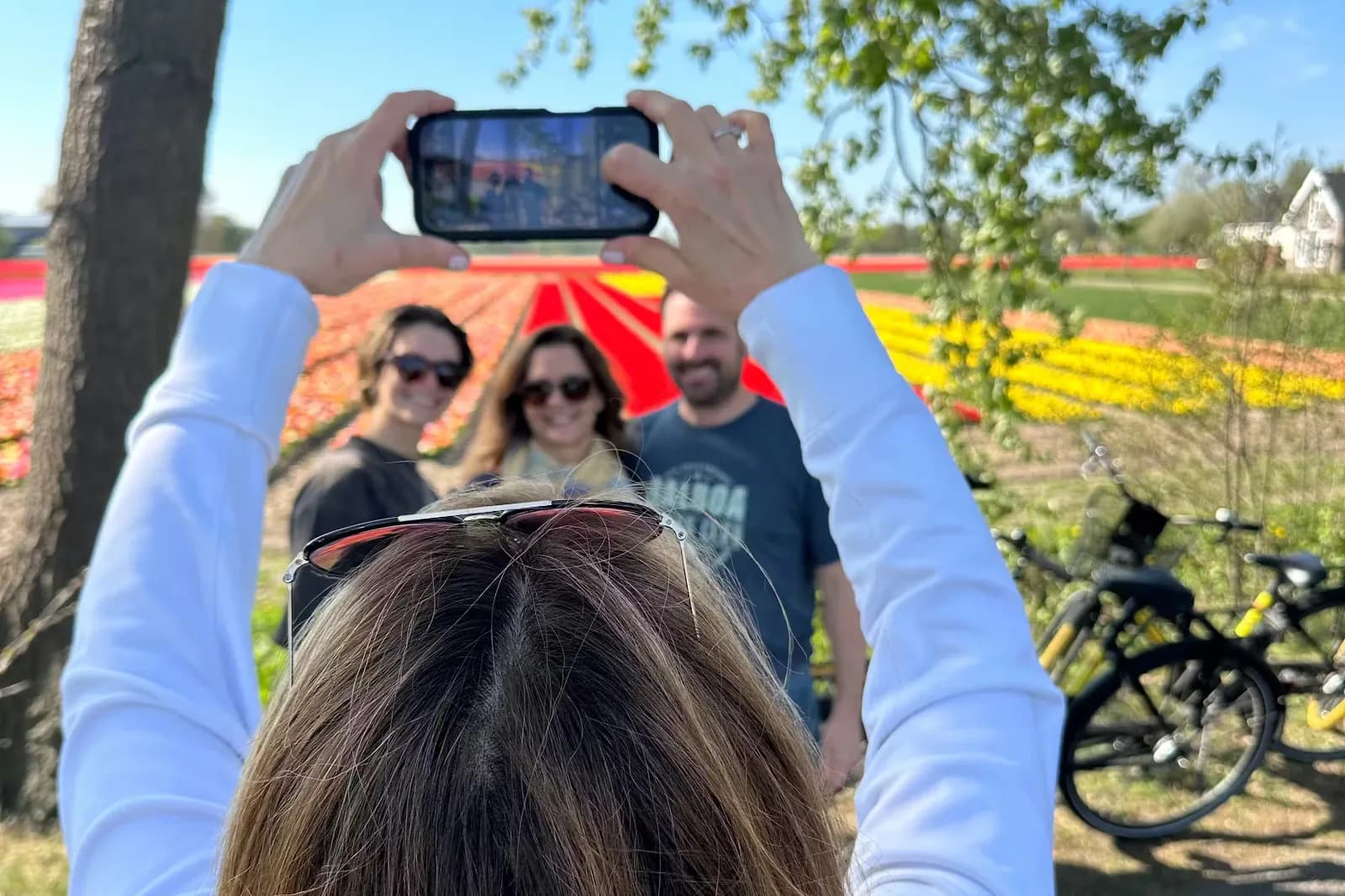 Cycling through tulip fields near Keukenhof