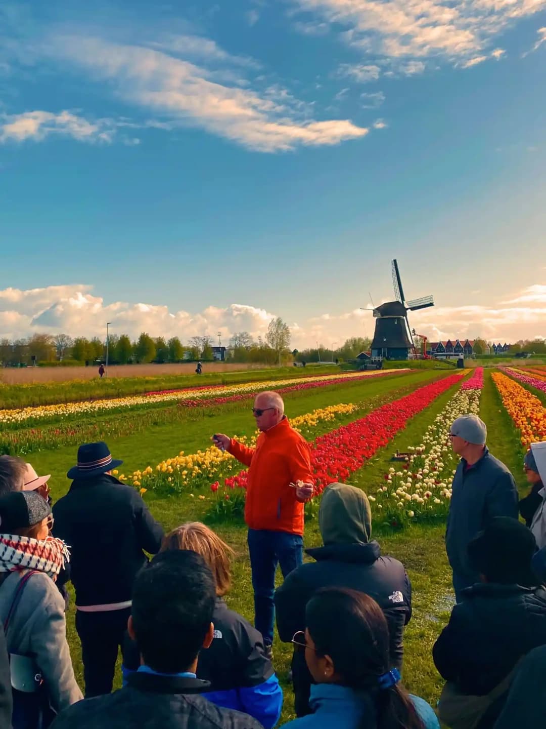 Tulip tour with Tulip Tour Holland
