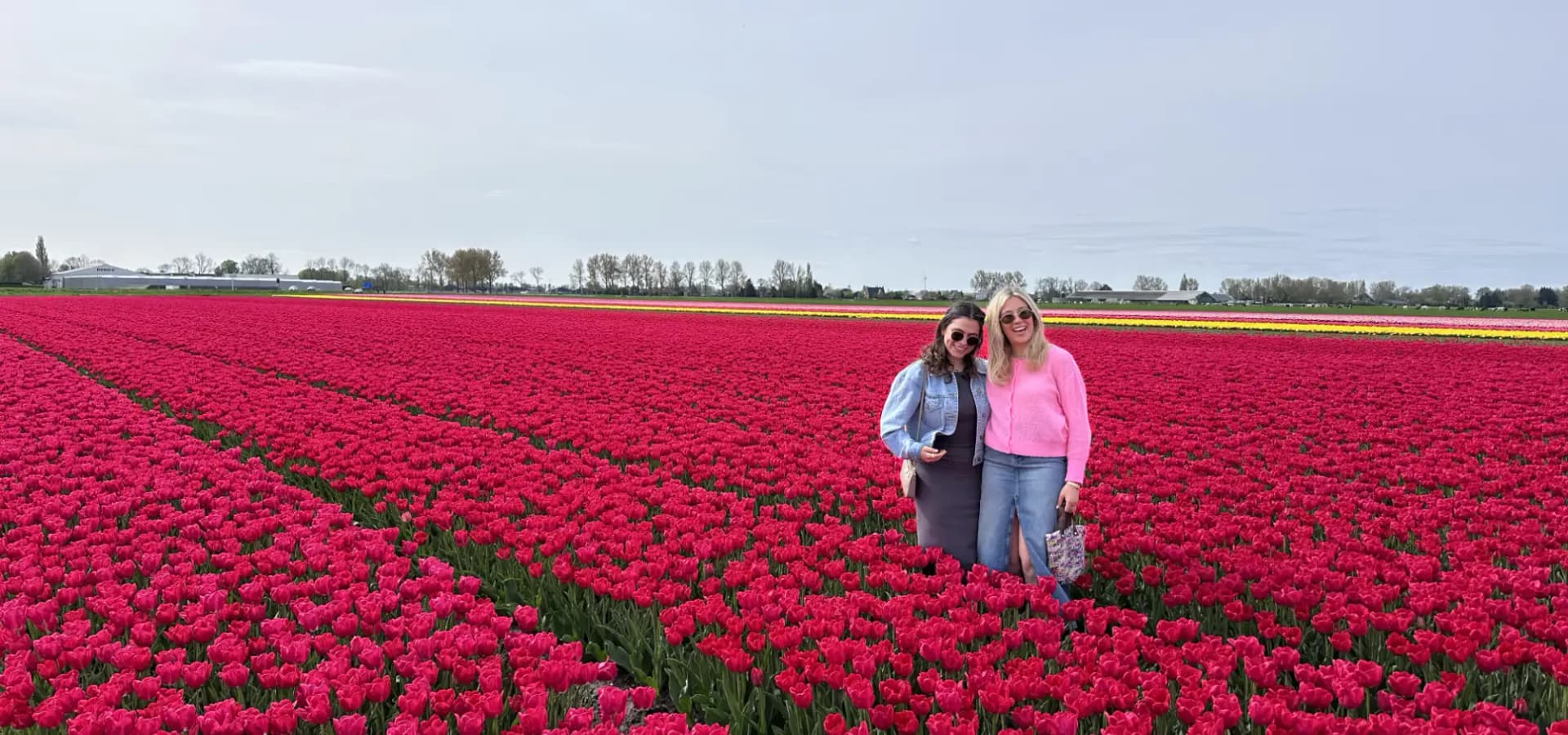 Visitors enjoying the Dutch tulip fields during spring