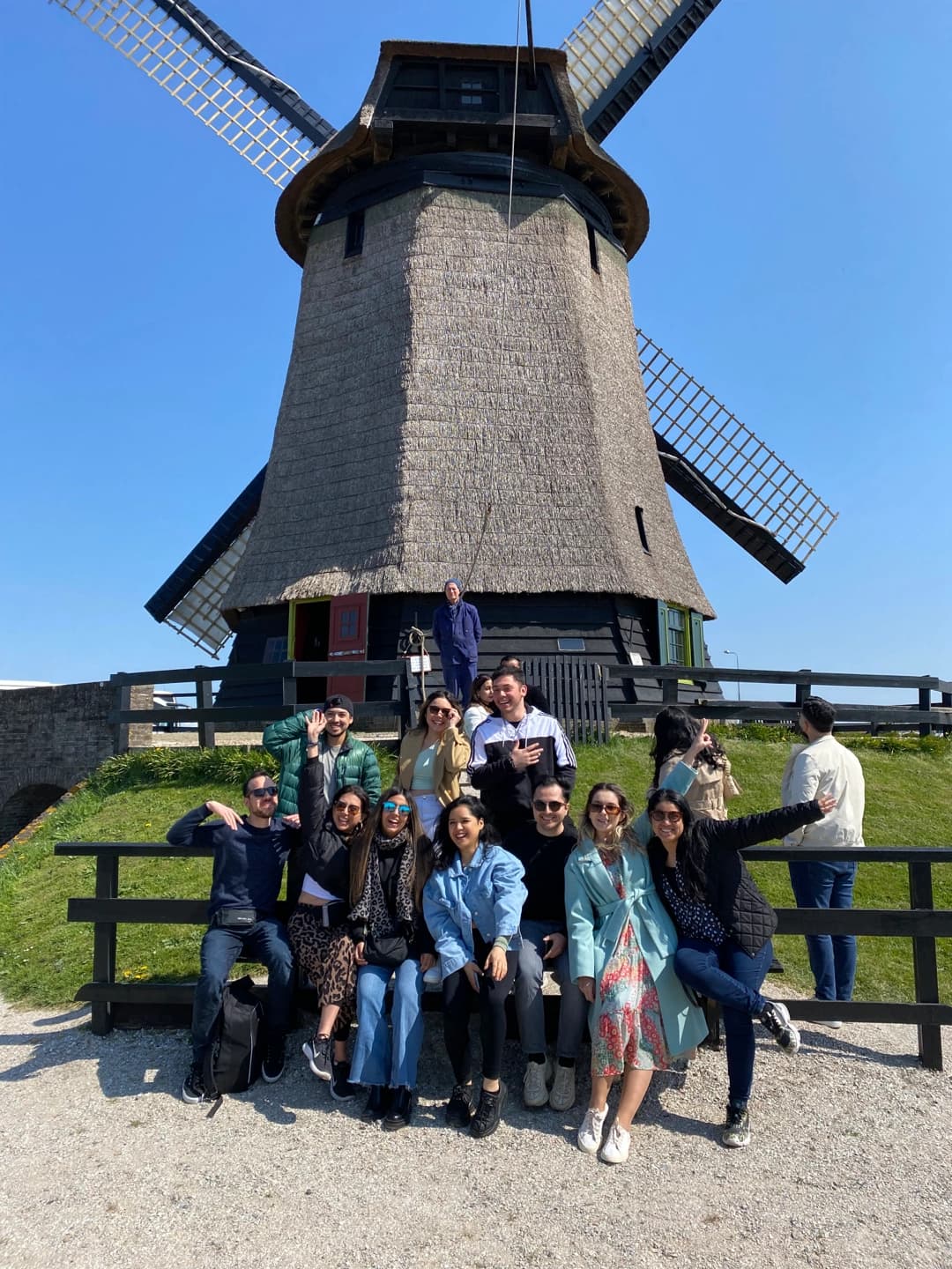 Tulips and windmill tour
