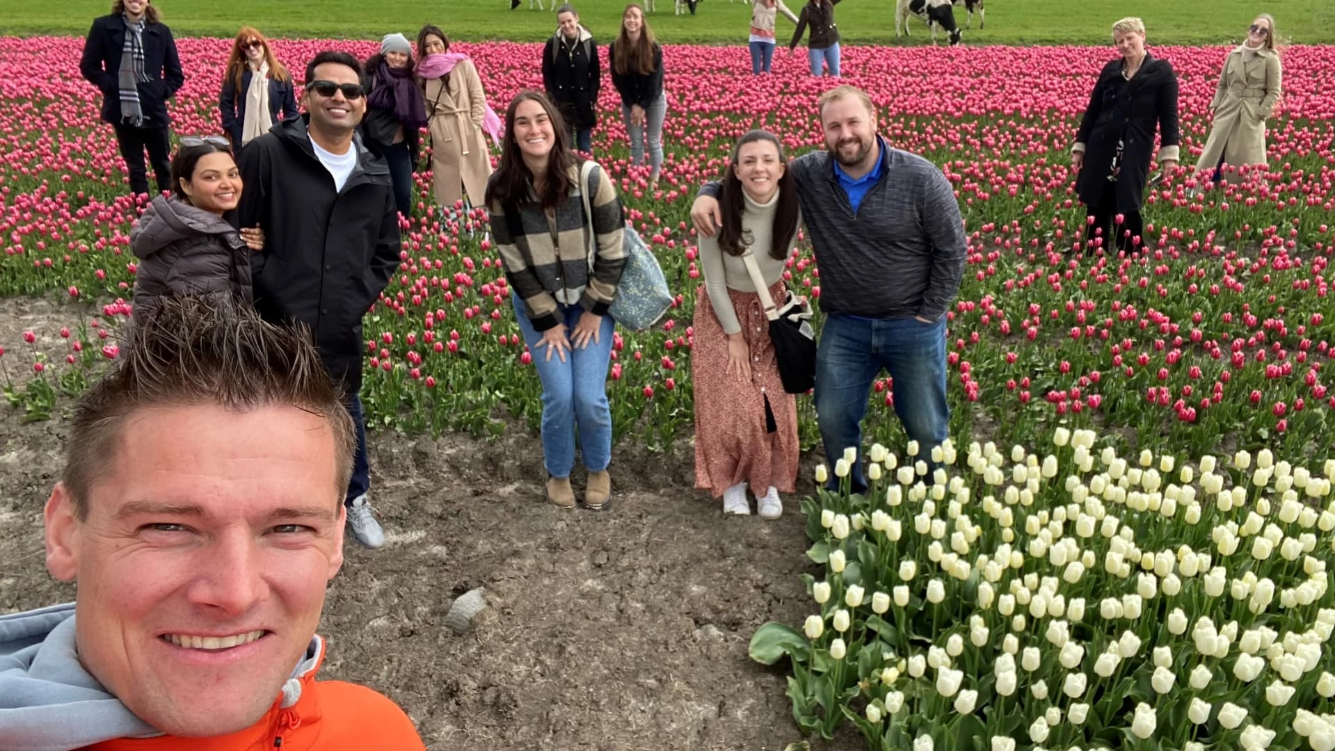 Discover the Netherlands with Tulip Tours Holland
