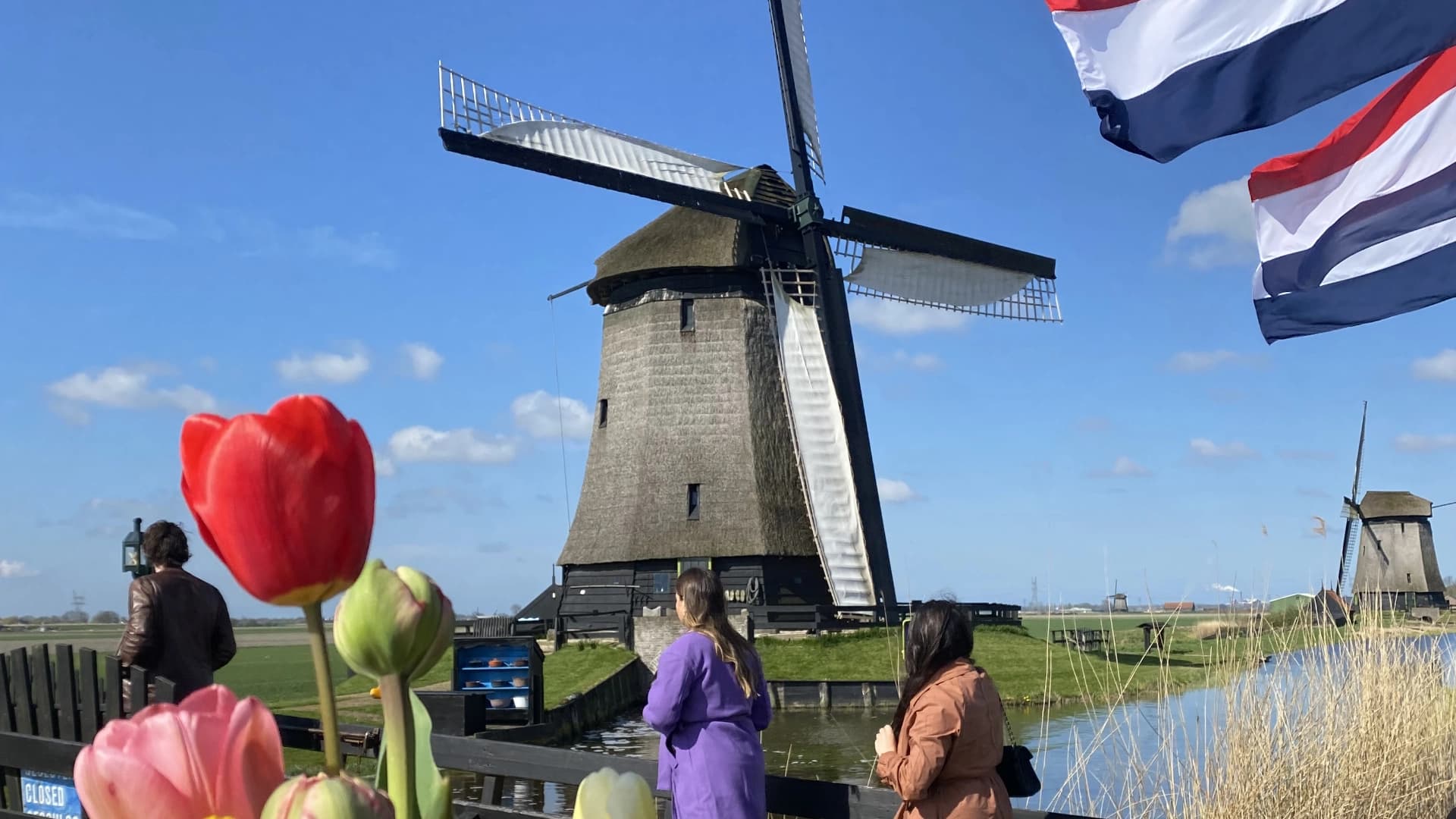 Discover the Netherlands with Tulip Tours Holland