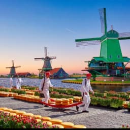 men walking with wheels of cheese