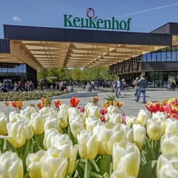The entrance of the keukenhof