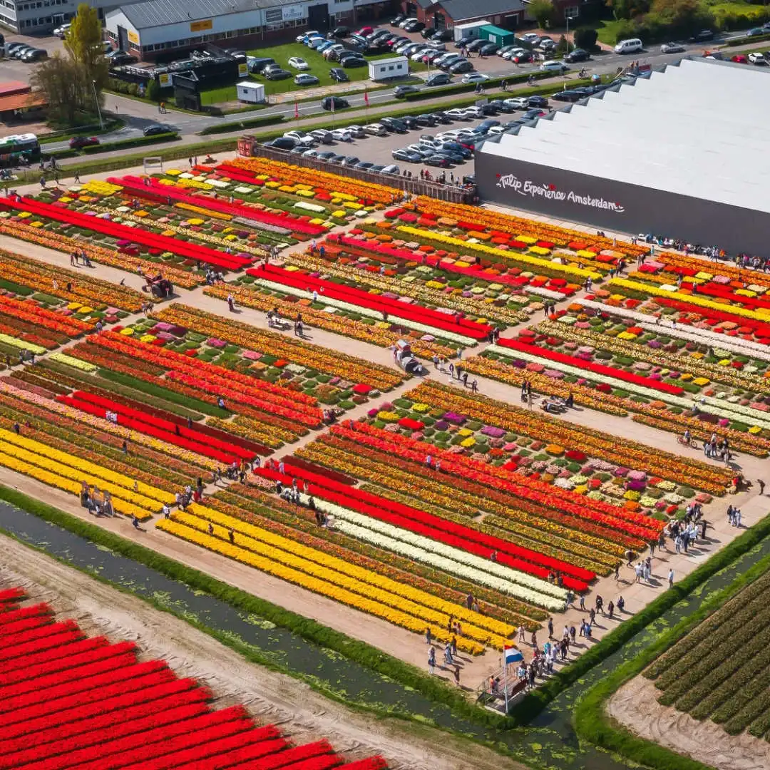 Aerial view of Tulip Experience Amsterdam