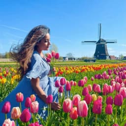 Visitors walking through a working tulip farm with blooming tulip fields