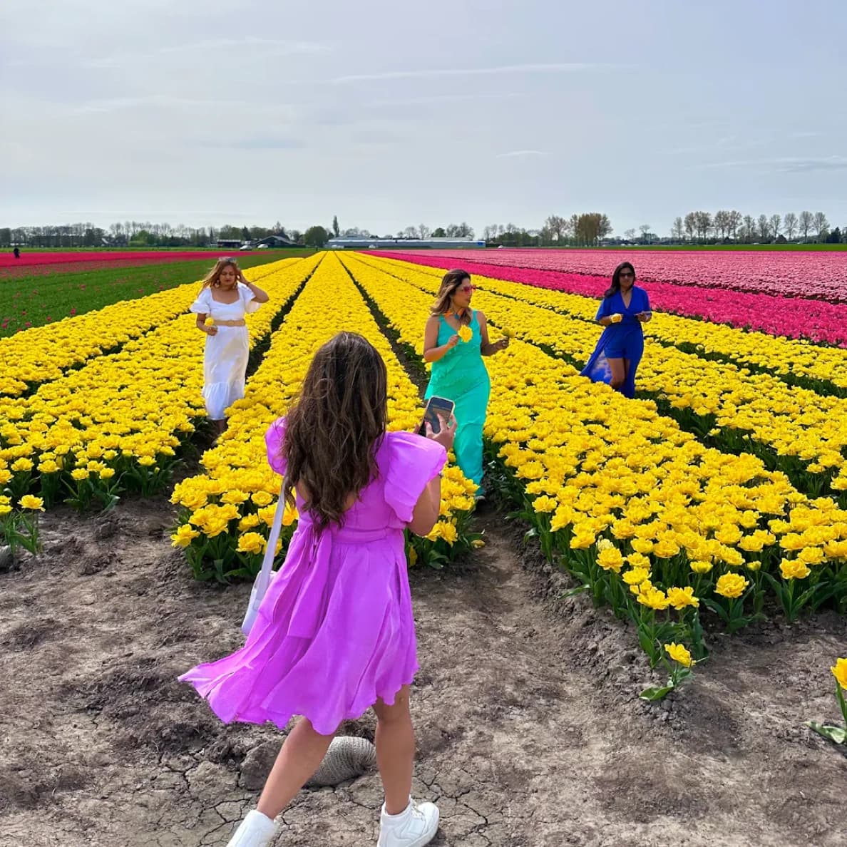 Tourists enjoying tulip fields in spring weather