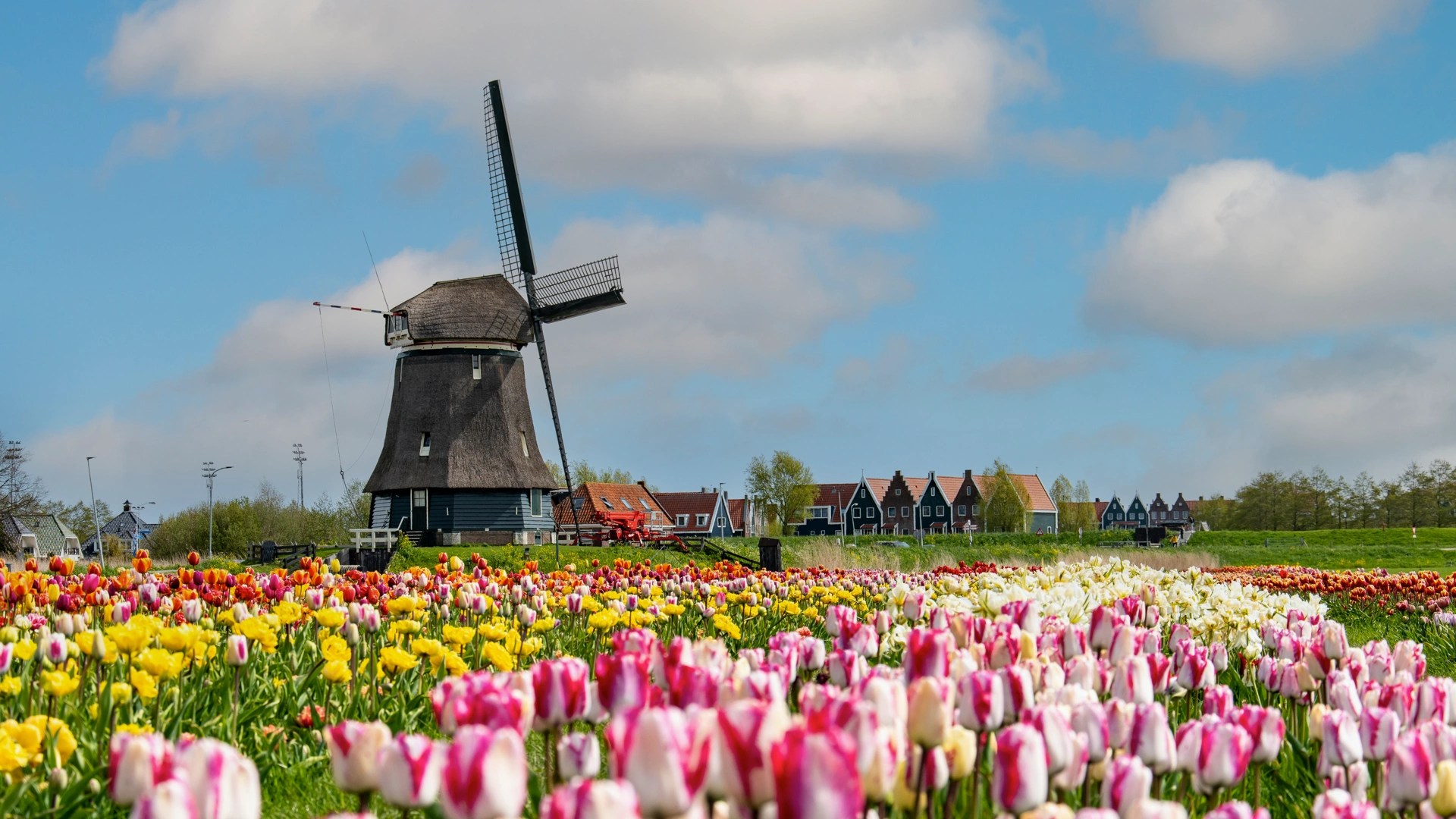 Guides about Keukenhof